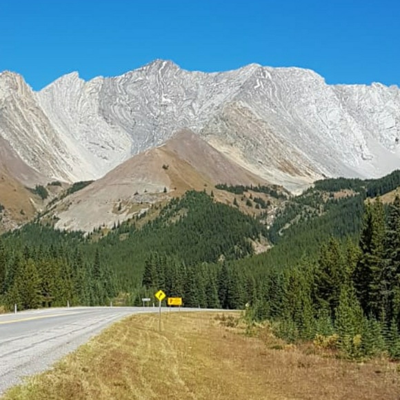 Meet your Posher, Sam - Picture 1 of 1